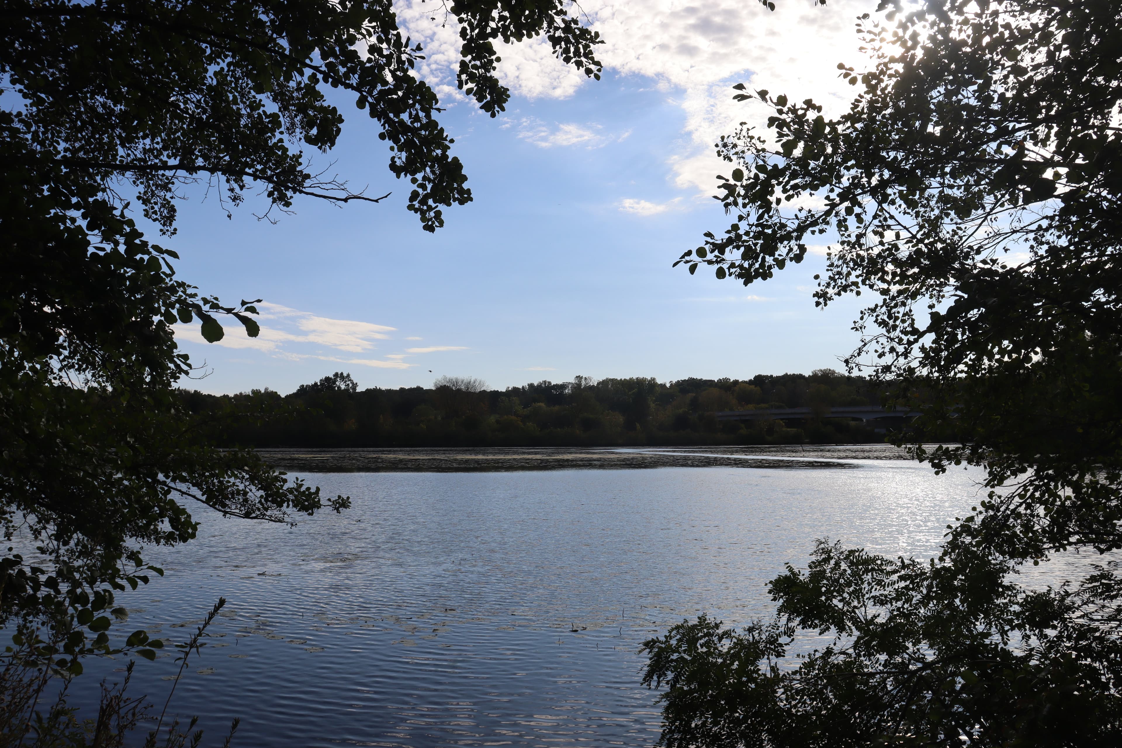 A view of a lake in northern Michigan